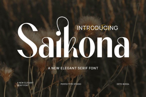 Saikona Font: Elevate Digital Campaigns with Style
